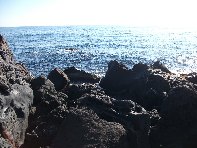 i Trezza-20110311 011